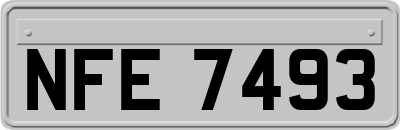 NFE7493