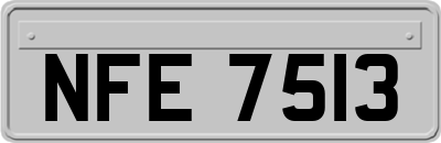 NFE7513