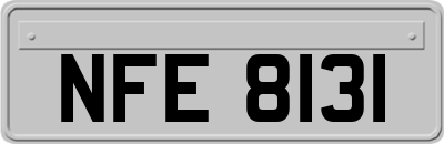 NFE8131