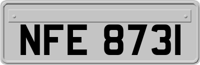 NFE8731