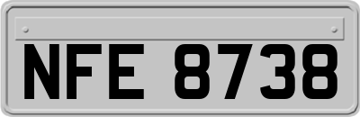 NFE8738
