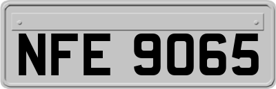 NFE9065