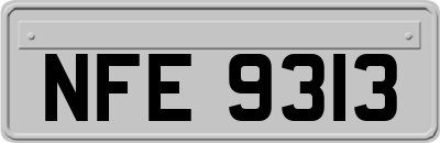 NFE9313