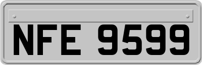 NFE9599