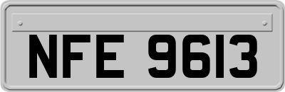 NFE9613