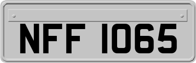 NFF1065