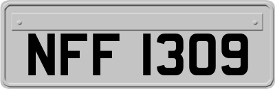 NFF1309