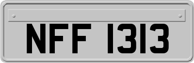 NFF1313