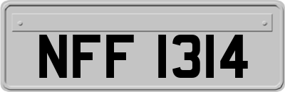 NFF1314