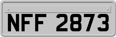 NFF2873