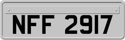 NFF2917