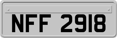 NFF2918