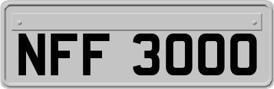 NFF3000