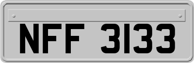 NFF3133