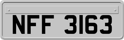 NFF3163