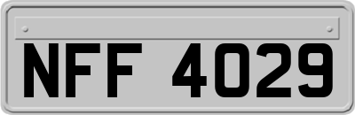 NFF4029