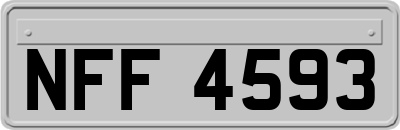 NFF4593
