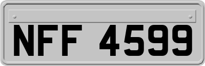 NFF4599