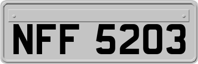 NFF5203