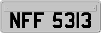 NFF5313