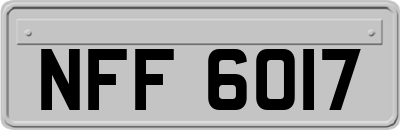 NFF6017