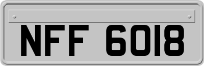 NFF6018