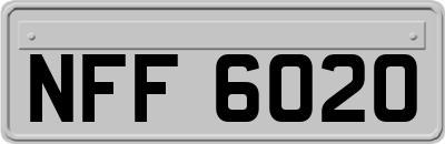 NFF6020