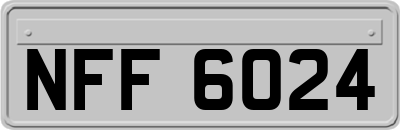 NFF6024