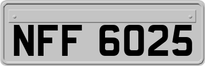 NFF6025