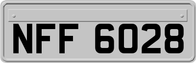 NFF6028