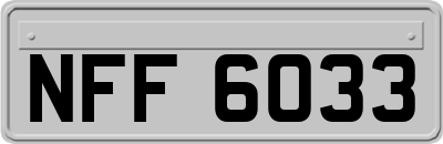 NFF6033