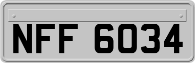 NFF6034
