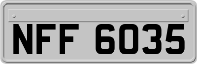 NFF6035