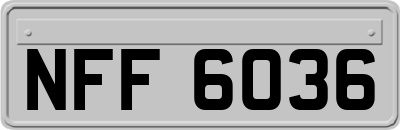 NFF6036