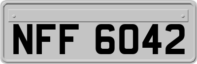 NFF6042