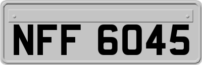 NFF6045