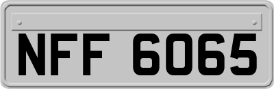 NFF6065