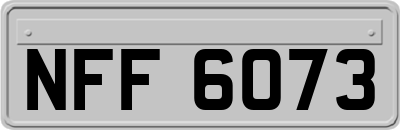 NFF6073