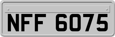 NFF6075