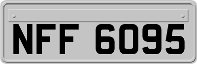 NFF6095