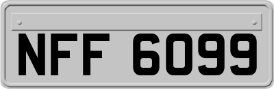 NFF6099