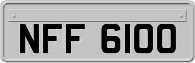 NFF6100