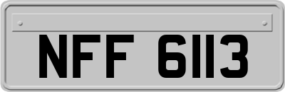 NFF6113