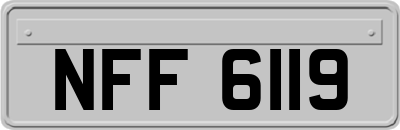 NFF6119