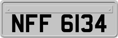 NFF6134