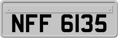 NFF6135