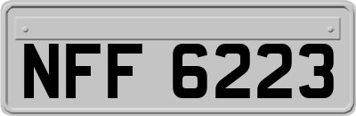 NFF6223