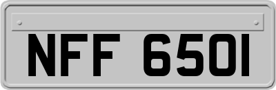 NFF6501