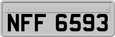 NFF6593