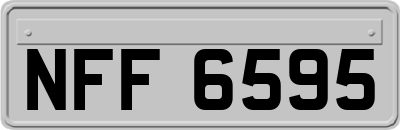 NFF6595